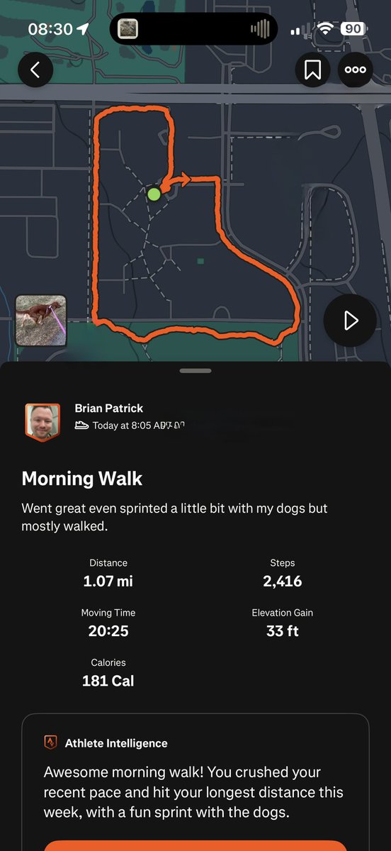 ChrisP4052's tweet photo. Enjoyed walking my pups this morning after taking the kids to school! #ginnyweasleypatrick #graciemariepatrick #dogdad #dadlife #goldenretriever https://t.co/CSR92VyPAw