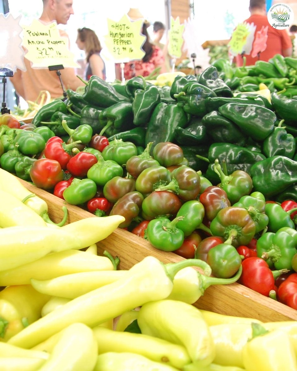 MoCoOAG's tweet image. Local farms grow fresh produce throughout the year, with winter markets and storage crops helping keep local food on our tables.
#EatLocal #MoCoAg #FarmFresh