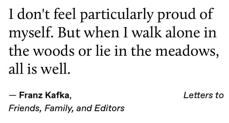Literariium's tweet image. Kafka