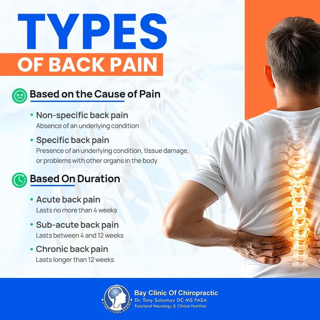 thebaydoctor's tweet image. If your back pain persists, understanding its type is key.

dub.sh/ZdbTUI5

#bayclinicofchiropractic #panamacityflorida #backpainrelief #chiropracticcare #spinalhealth #painmanagement