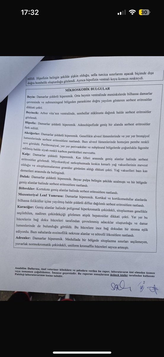 guliz_gunduzz's tweet image. MATMAZEL’İN NEKROPSİ RAPORU AÇIKLANDI.
Ankara Üniversitesi Veteriner Fakültesi Patoloji Anabilim Dalı tarafından düzenlenen resmî nekropsi raporu, Matmazel’in ölümünün “doğal” olmadığını açıkça ortaya koydu.
Rapora göre Matmazel’de;
– Tırnak kırıkları ve periungual dokuda kanama…