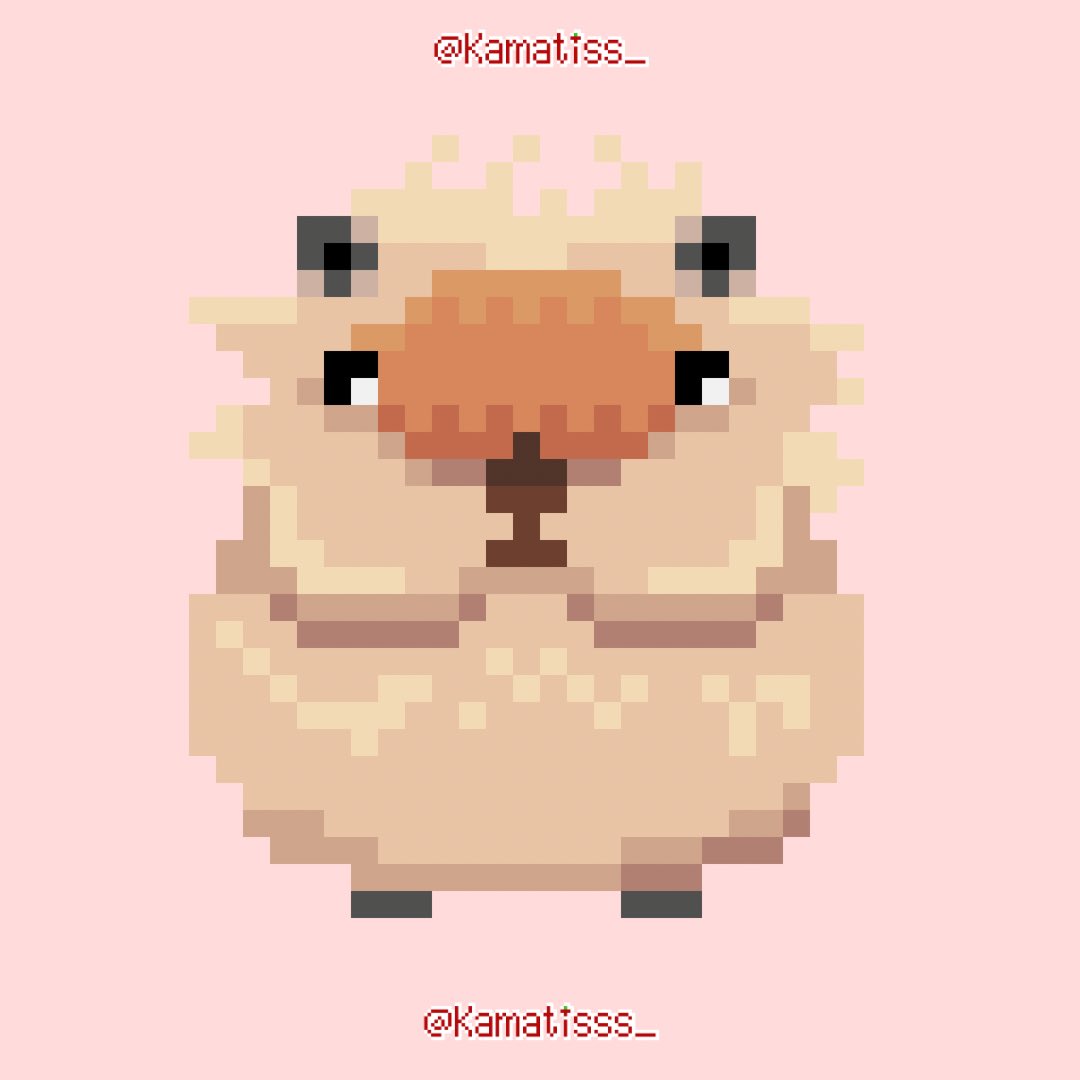 kamatisss_'s tweet photo. Rabbits ππ₯
#pixelart #smallartist #pixelsprites https://t.co/Zv0mn0ExFm