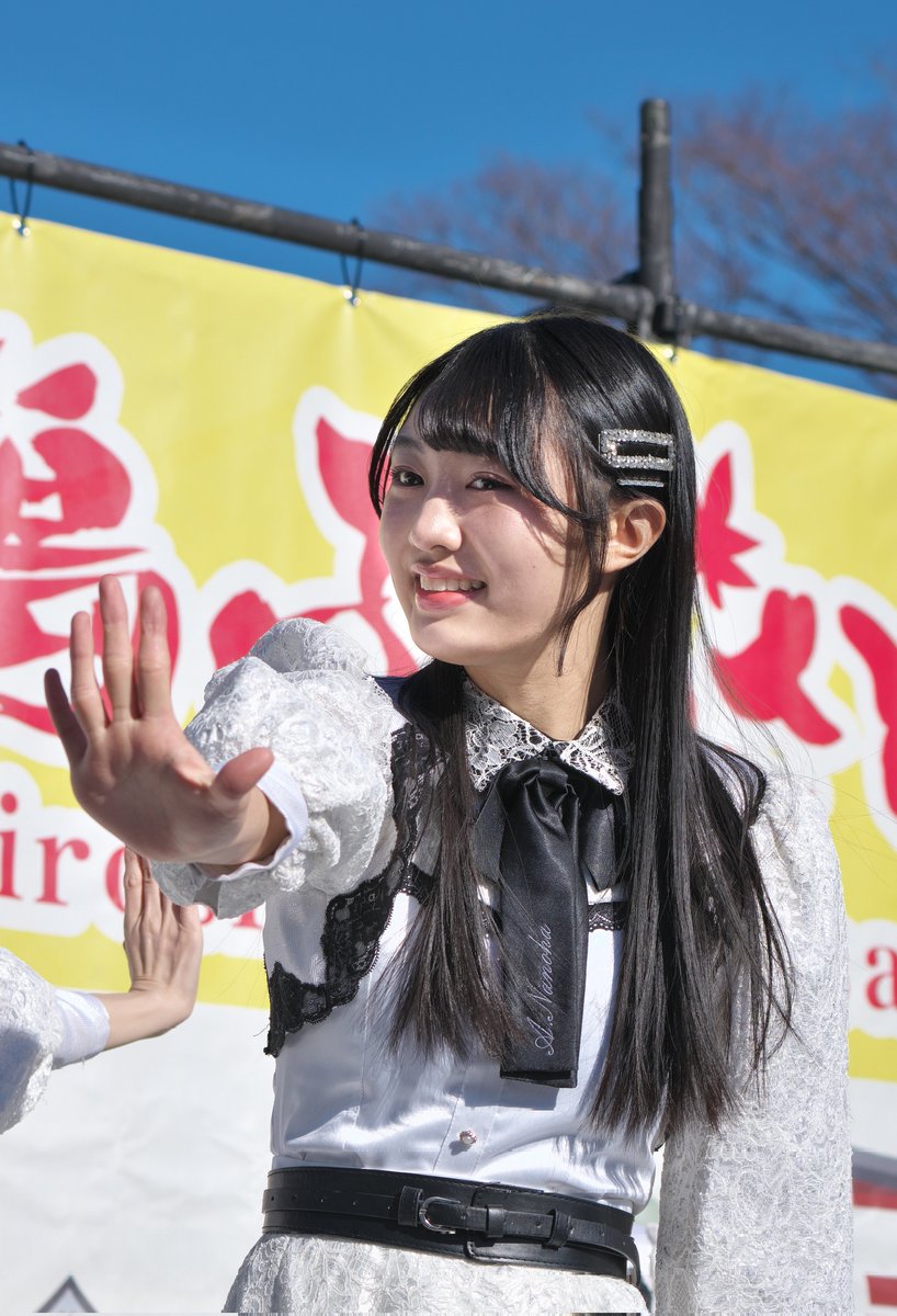 菜花様 ネモフィラ祭り 100万株の青い花｜大阪まいしまシーサイドパーク