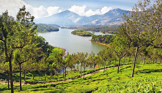 بالصور .. أهم المعلومات السياحية ننصحك بمعرفتها قبل زيارة مونار الهندية #سياحة 