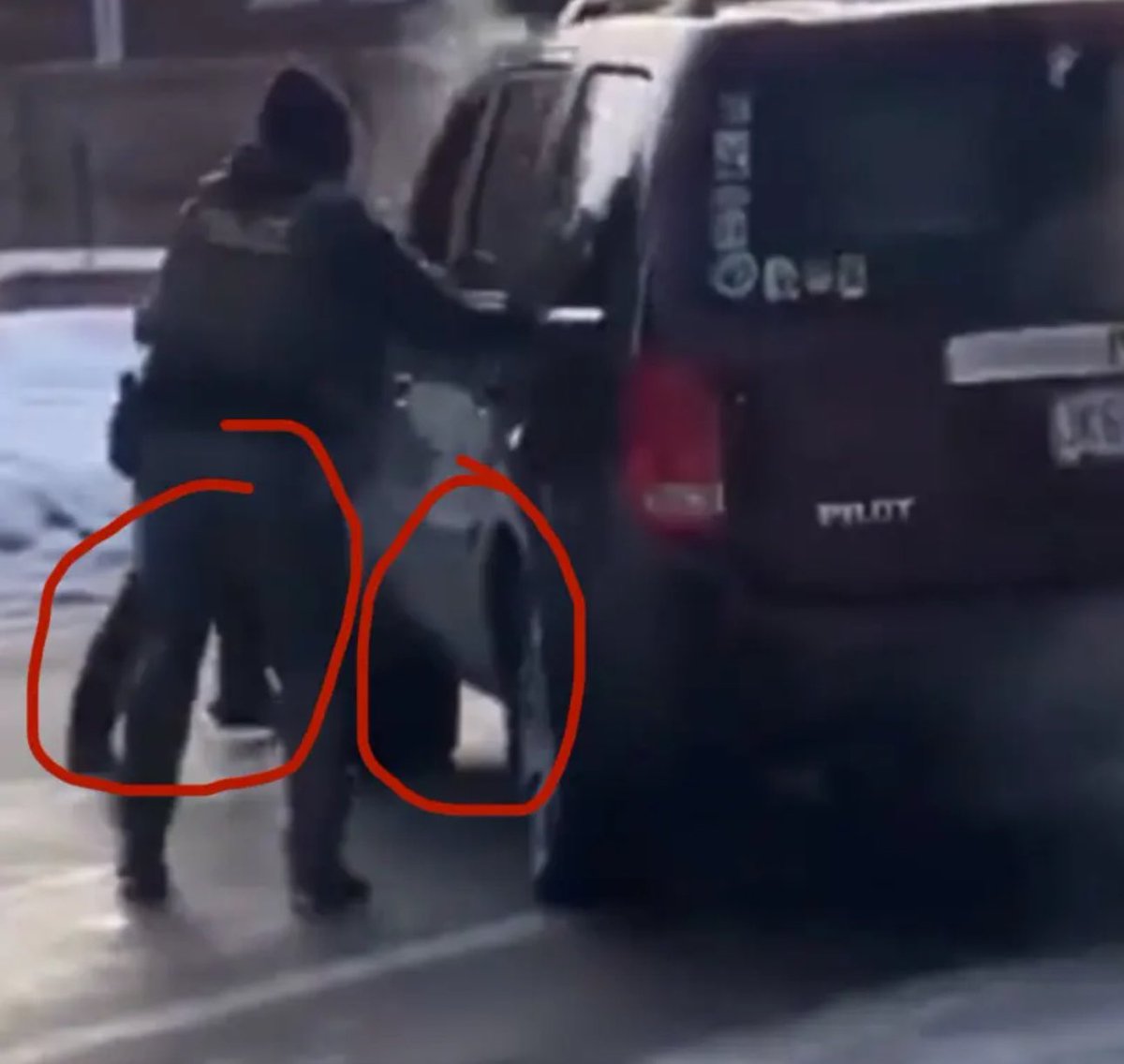 The Beaver Program tweet media