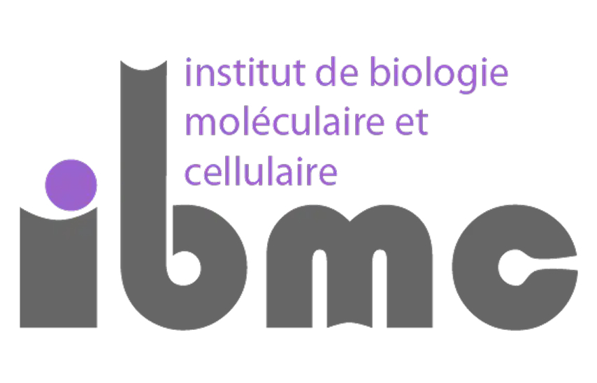 ParaFrap's tweet photo. 📢 Job opportunity: The Mosquito Immune Responses lab at IBMC (Strasbourg) is recruiting a Research Engineer for mosquito infection coordination, tech development &amp; lab management.

7-month renewable contract, with prospects for a permanent position.

👉 https://t.co/hOyIWVVByR https://t.co/i8EplTbb5R