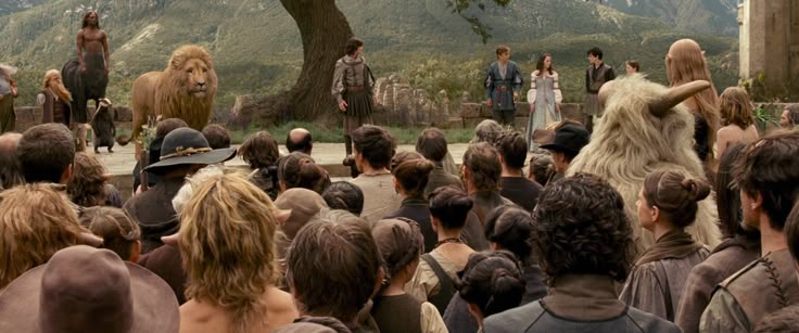 narniaxaslan's tweet photo. https://t.co/bYDP5Ffiah