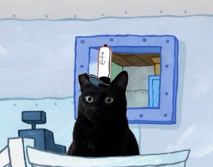 Catsillyness's tweet image. Can I get uhhhhhhhh