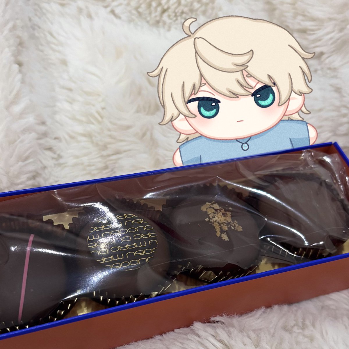 美味しそうなチョコマカロン貰ったから一緒に食べようね、すれぬい。
なおぬいには秘密だよ。
