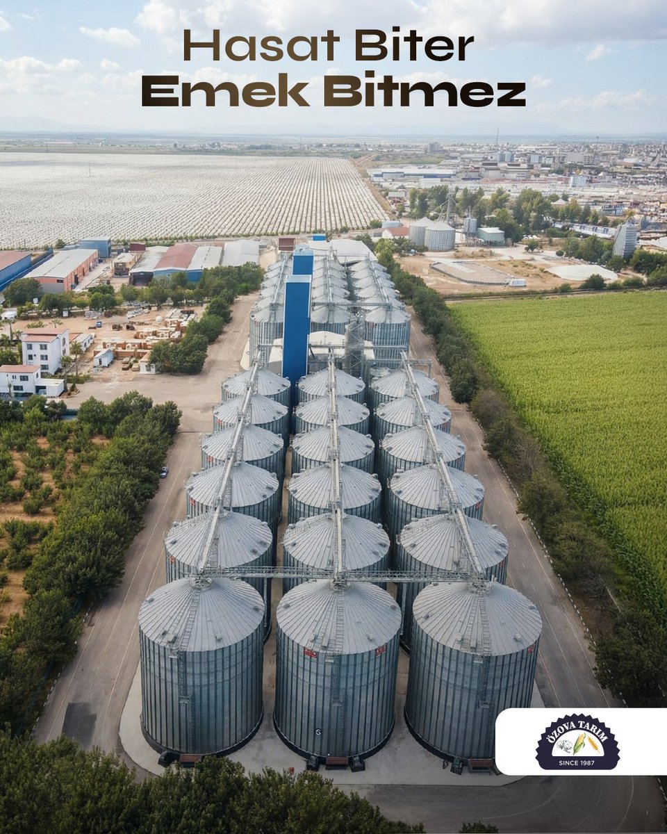 Topraktan alınan her ürün; aylar süren planlamanın, sabrın ve takibin sonucudur. Hasat yalnızca bir aşamadır; arkasında bakım, yenileme ve bir sonraki sezonun hazırlığı vardır. Üretim, takvimle değil sorumlulukla ilerler.

#Tarım #Hasat #Emek #Üretim #Sürdürülebilirlik #Toprak