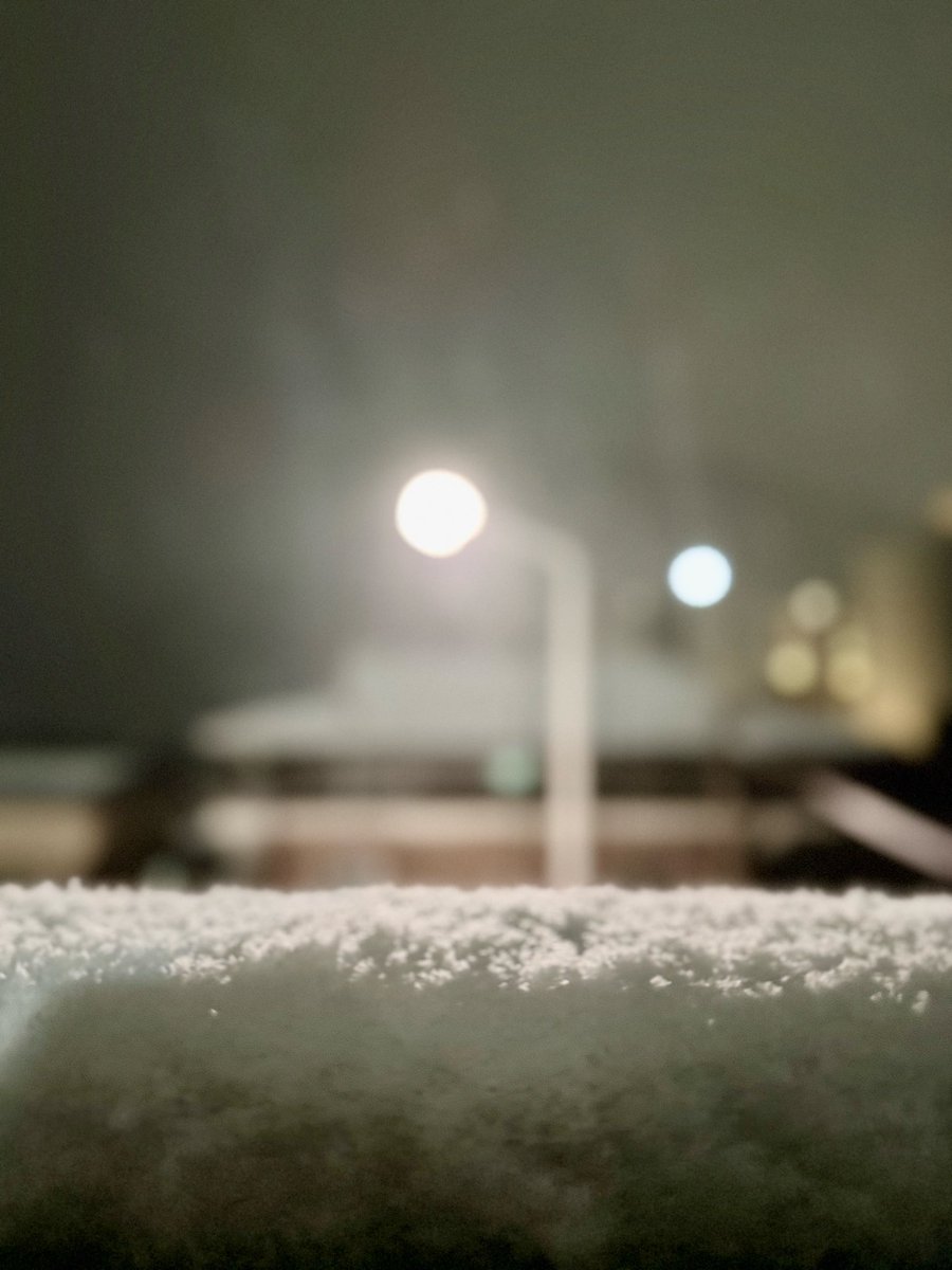 Complex_weekend's tweet image. 소복소복 고요한 밤