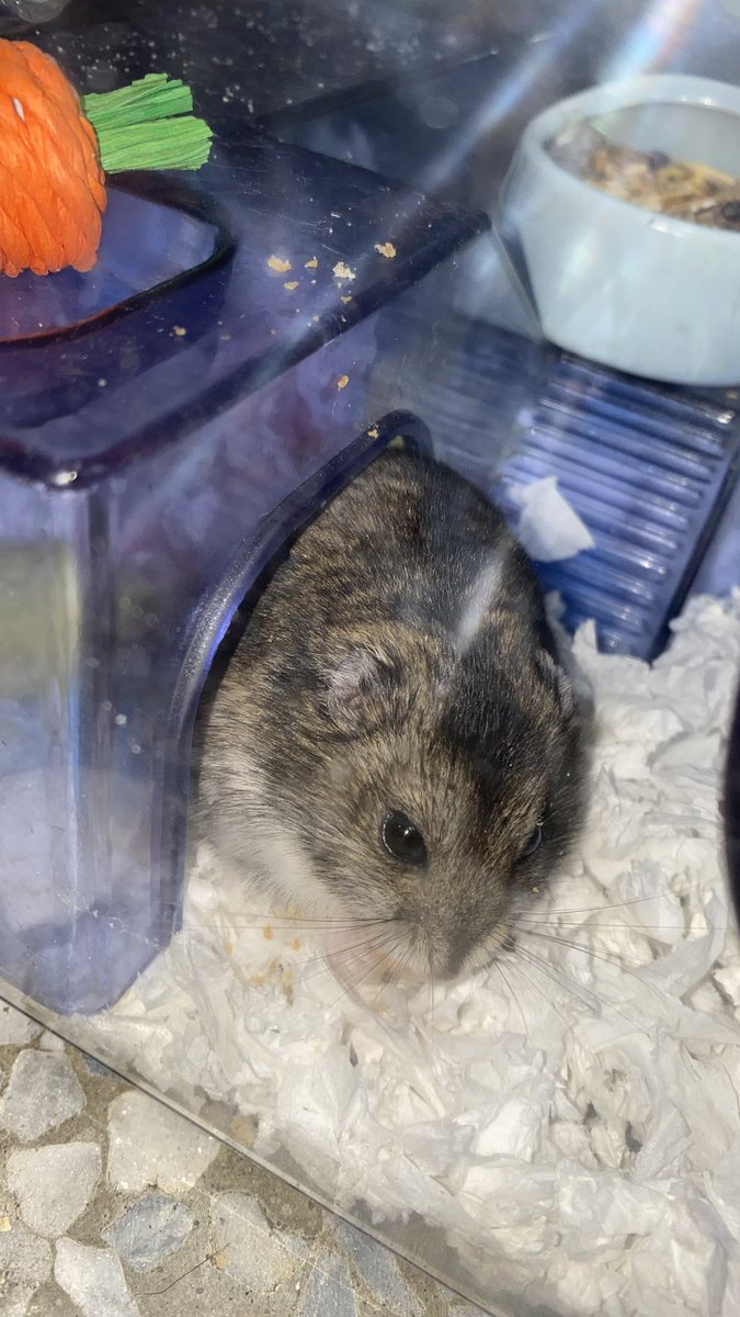 啊᳐啾嗯噗利K᳐੭ tweet media