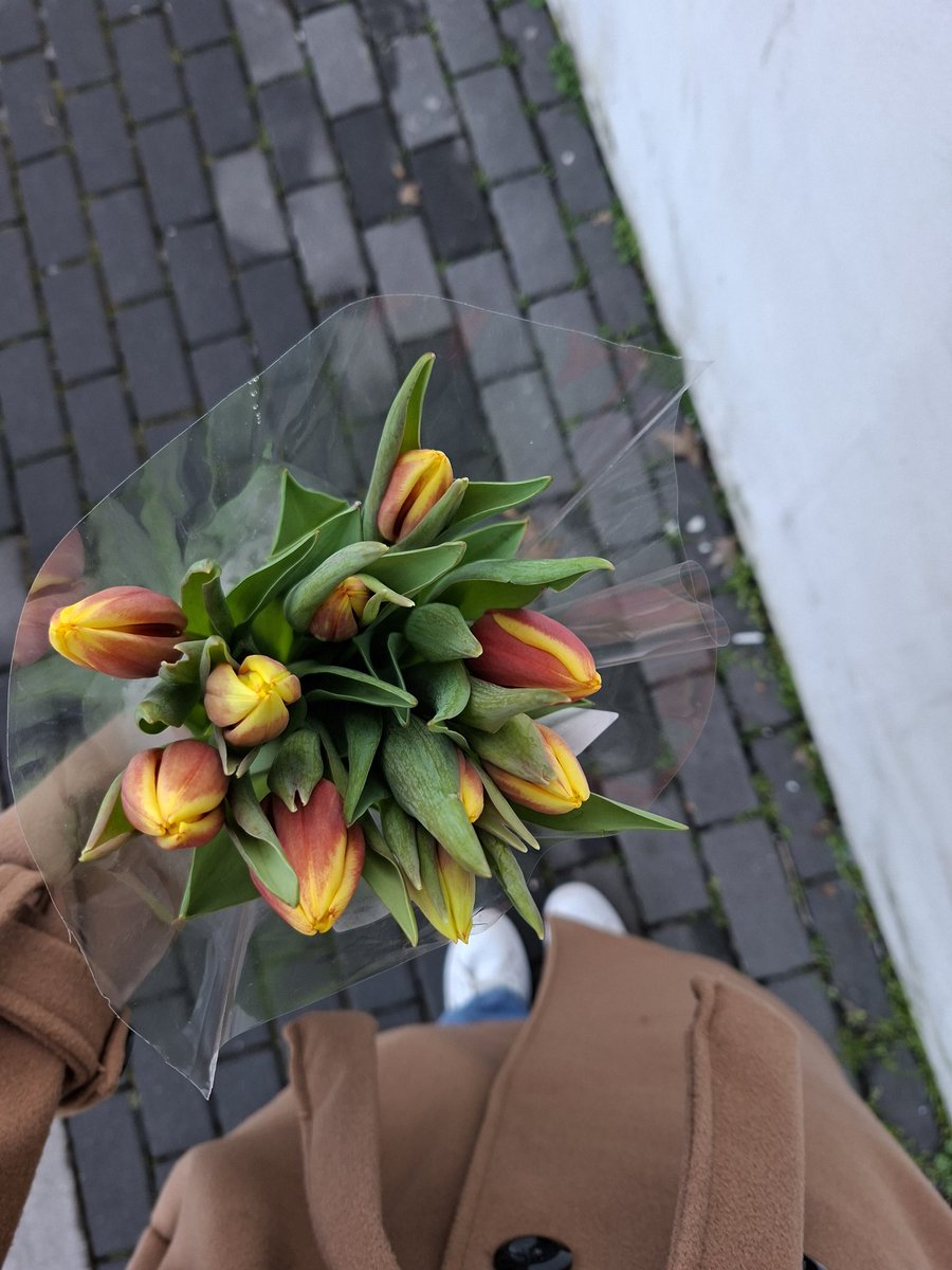 respirareappena's tweet photo. 4 euro alla Lidl amiche!!!! non ci sono scuse ricordatelo sempre https://t.co/89kvkhgcAZ