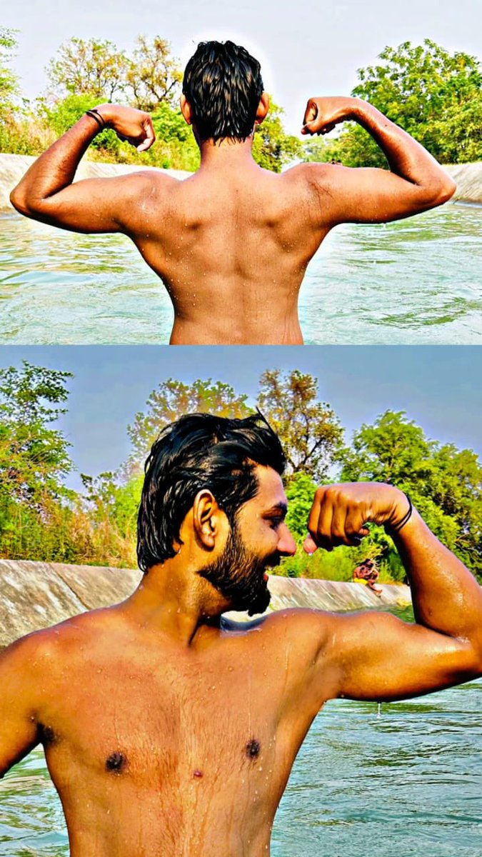 Dandelion tweet media