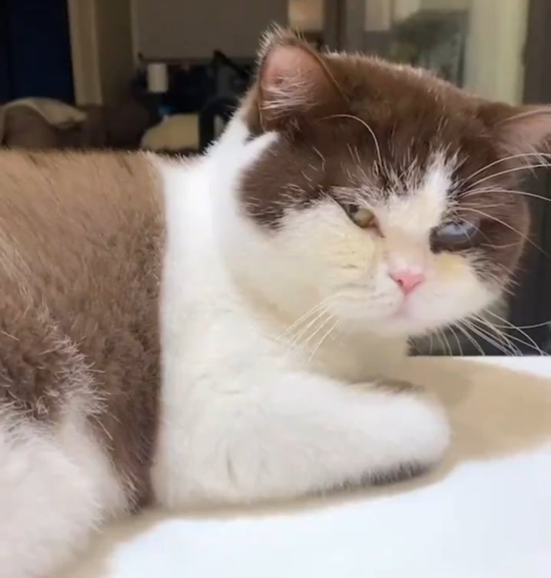 _premspace's tweet image. boleeeh, klaw kmu siap di sinisin sama dia kya giniiii nong