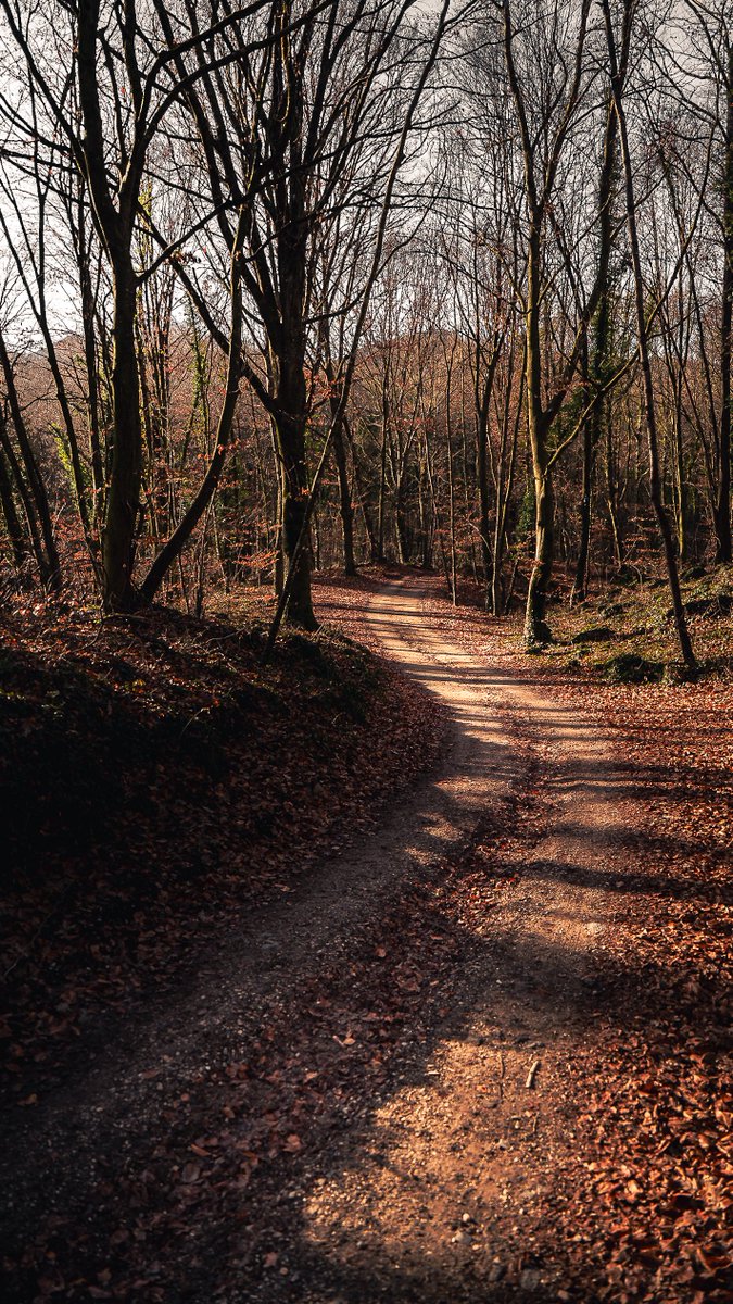 jordi_olot's tweet photo. De la caminadeta d'aquest matí, en penjaré alguna més #photography #landscape #camins https://t.co/RokhDzejbI