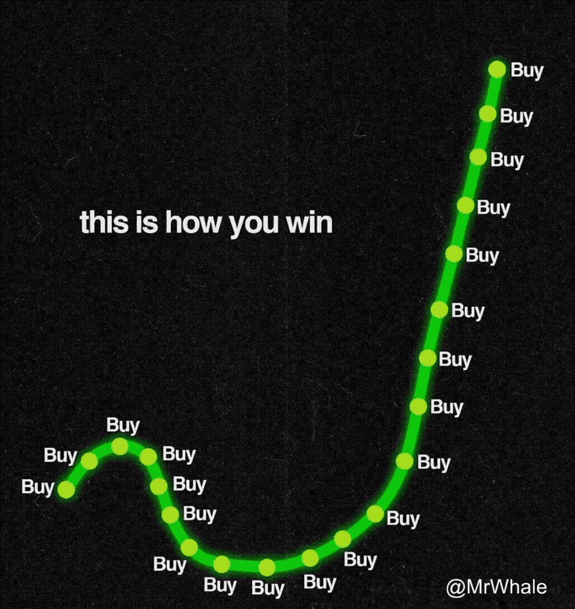 Mr. Whale tweet media