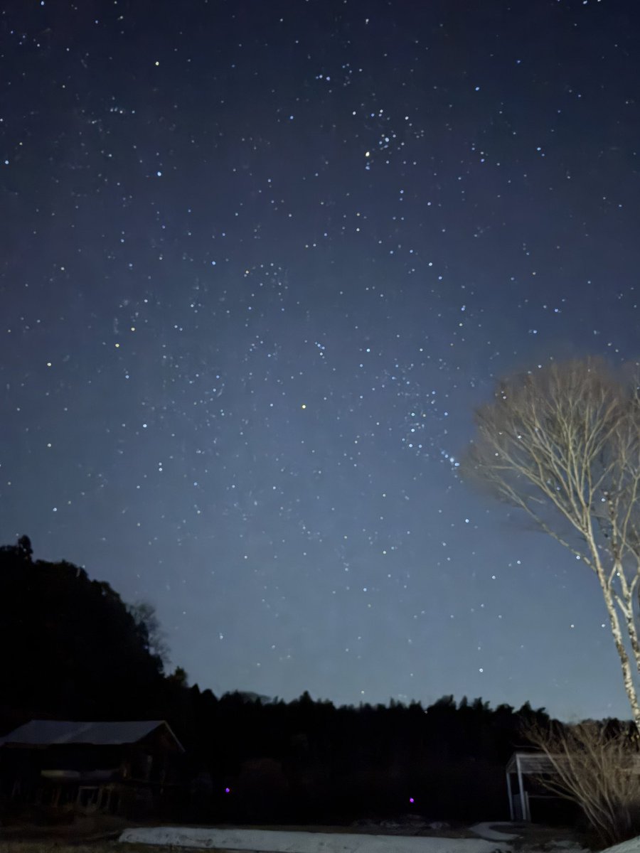 フタムラ tweet media