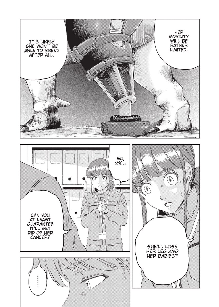 (6/11) 