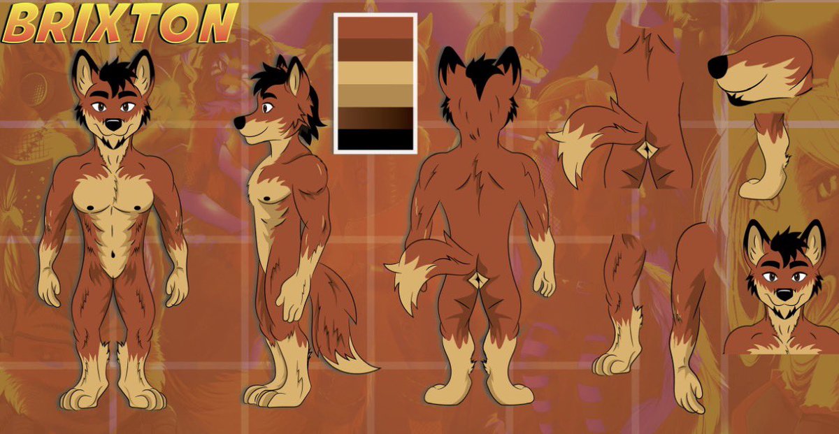 Brixton the RealtFur 🐺🏡 tweet media