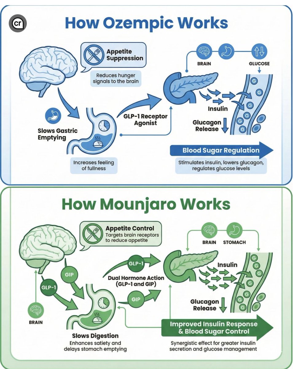 Abdelhamid Hamdy tweet media