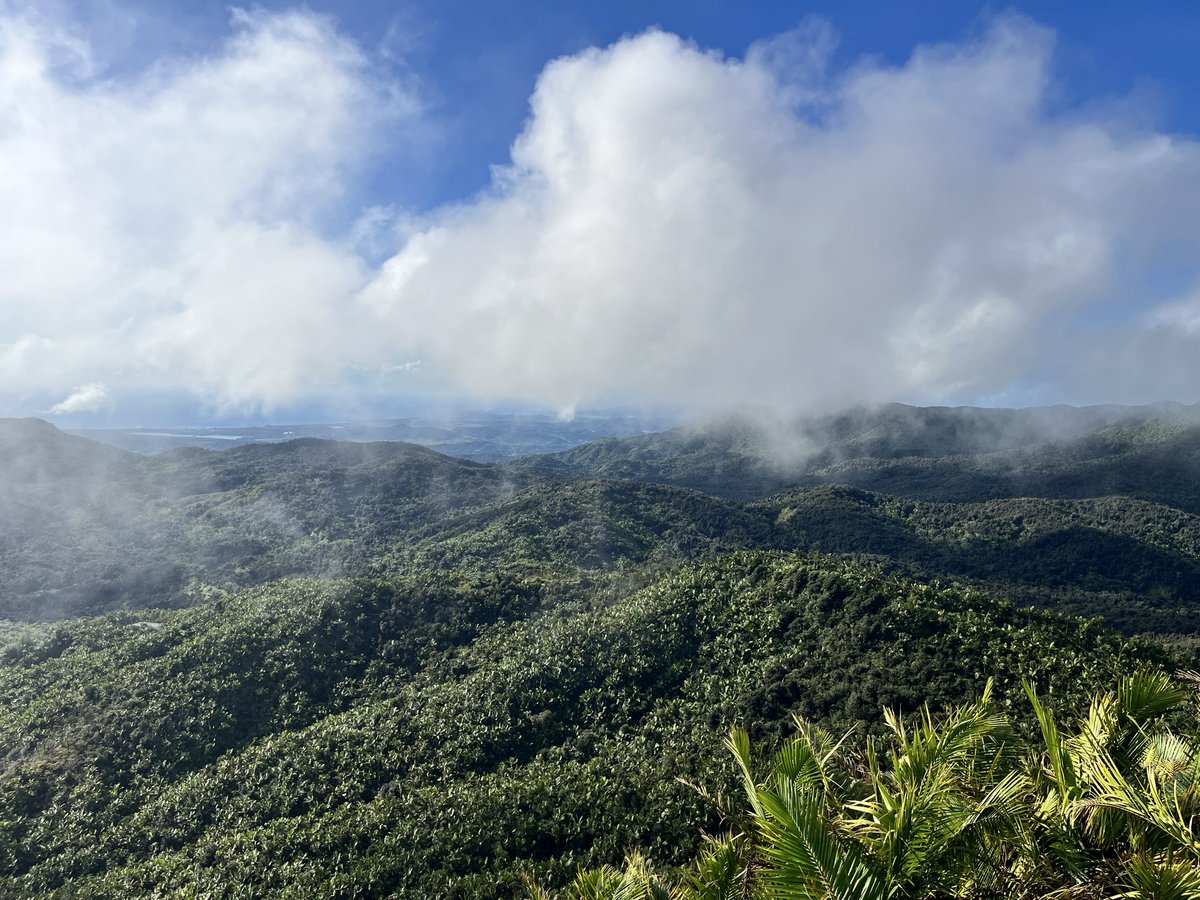 Sarah McGill tweet media