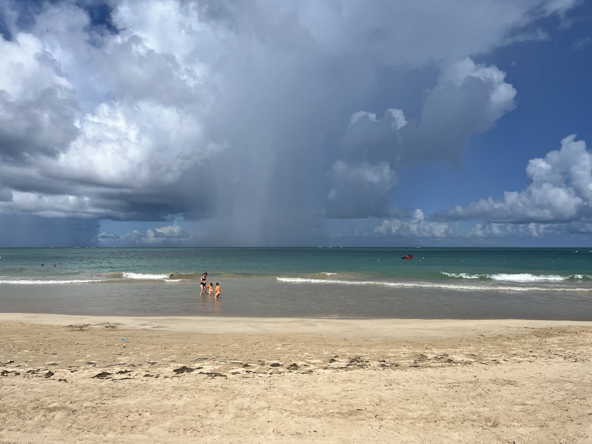 Sarah McGill tweet media