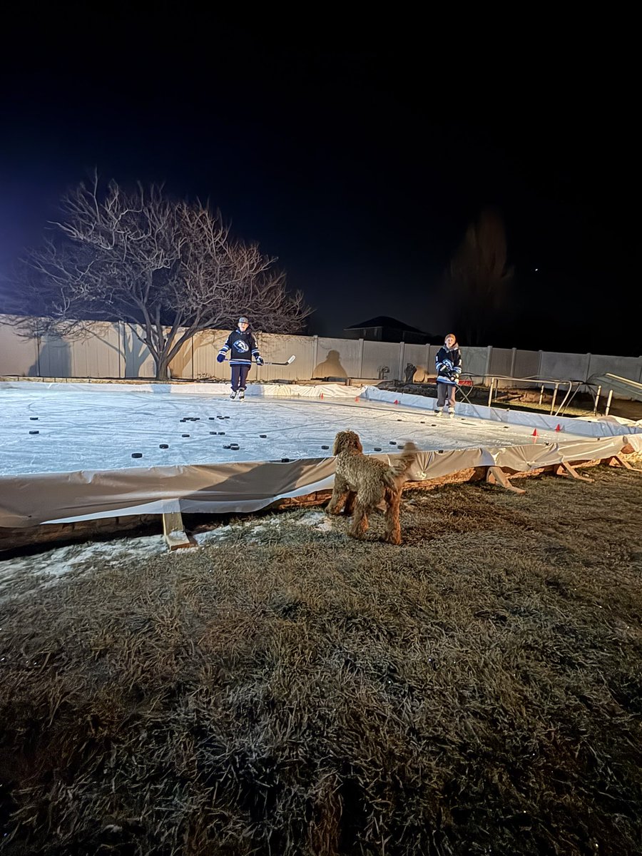 Eaglezzz tweet media