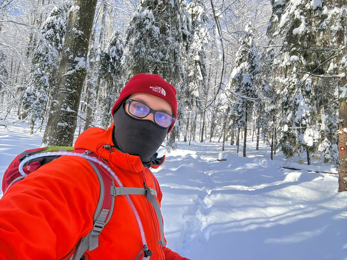 Kristijan Paljar tweet media