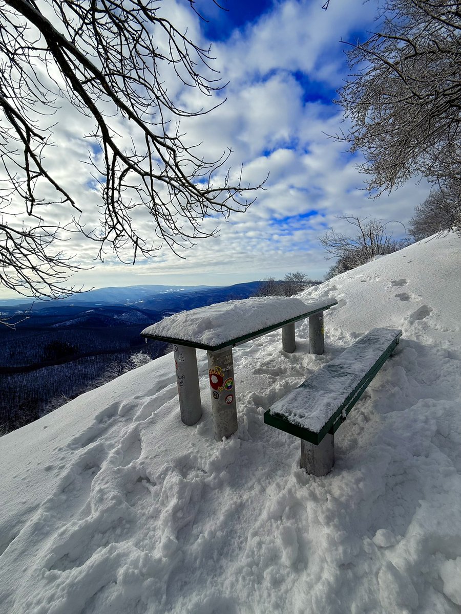 Kristijan Paljar tweet media