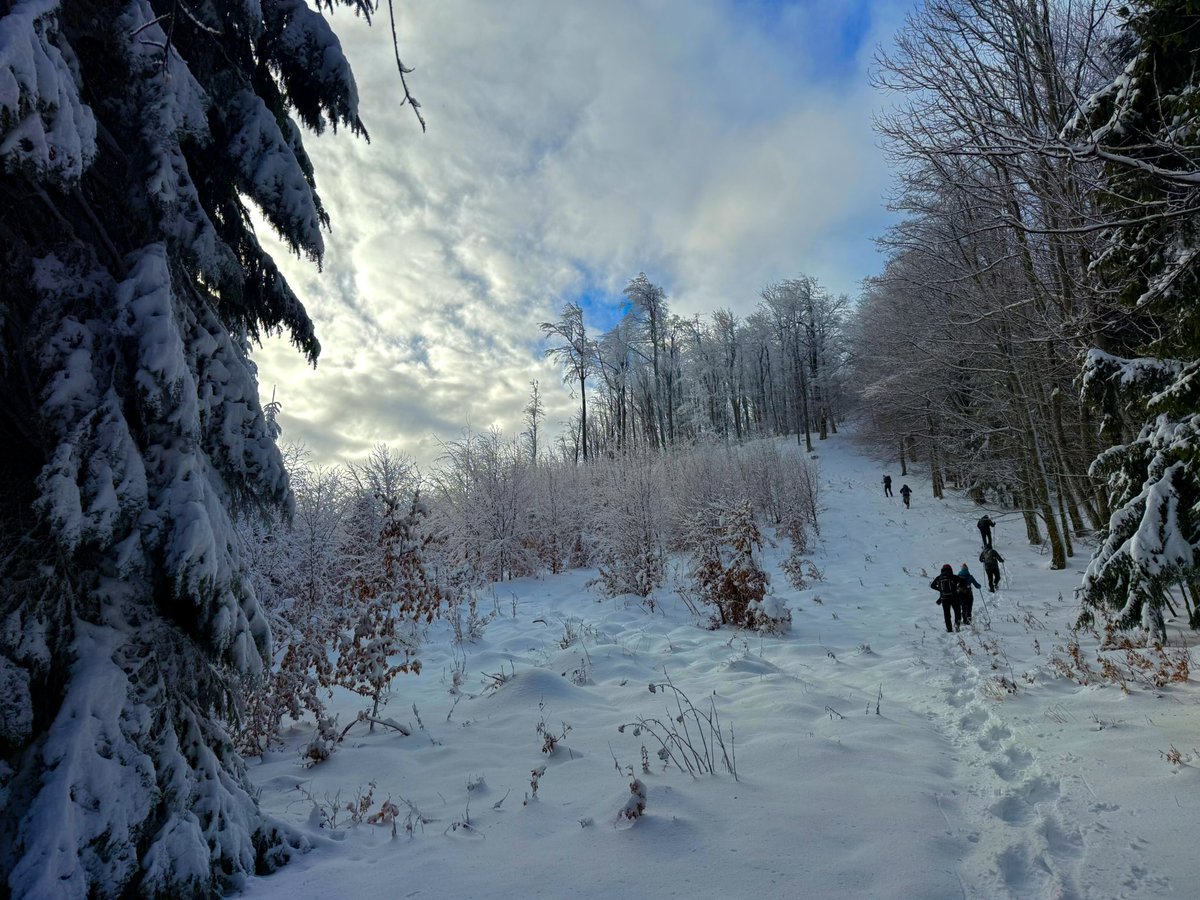 Kristijan Paljar tweet media