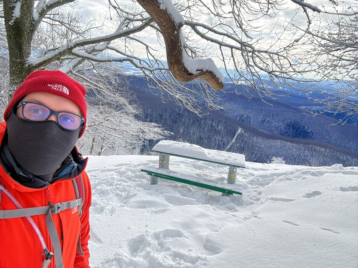 Kristijan Paljar tweet media