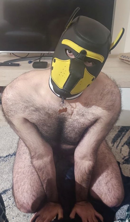 KinksterLolf tweet media