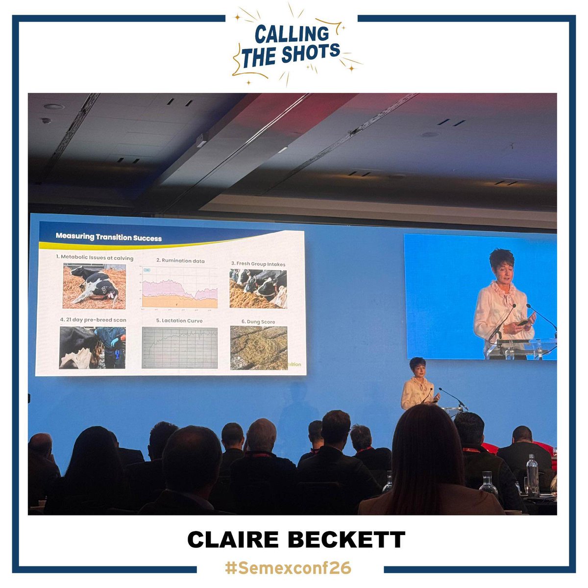 Semex UK tweet media