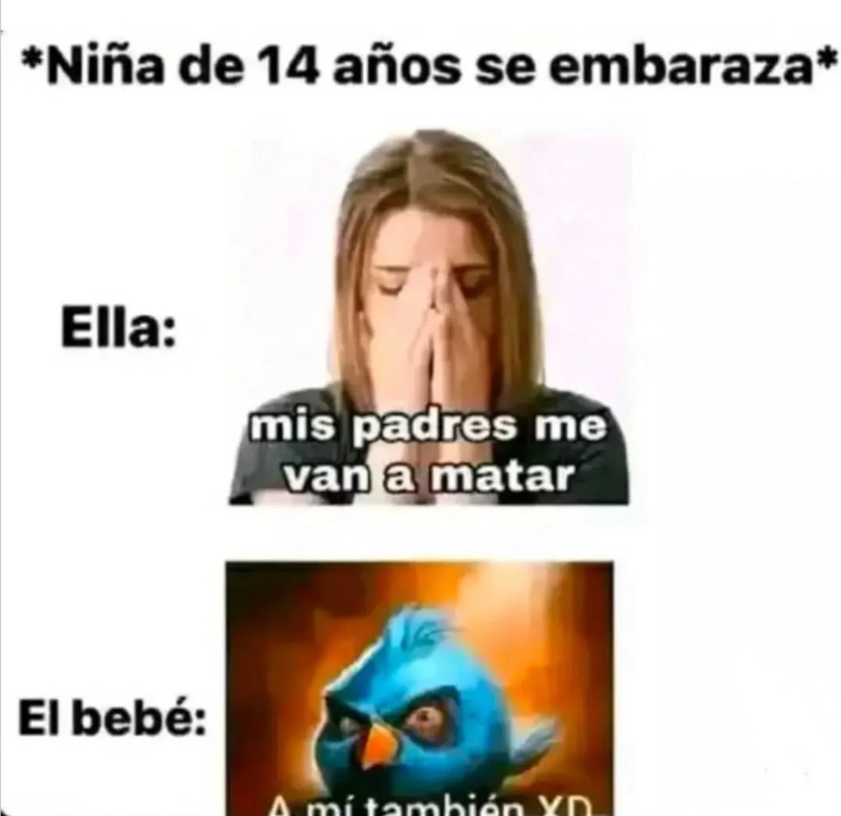 Memakker tweet media