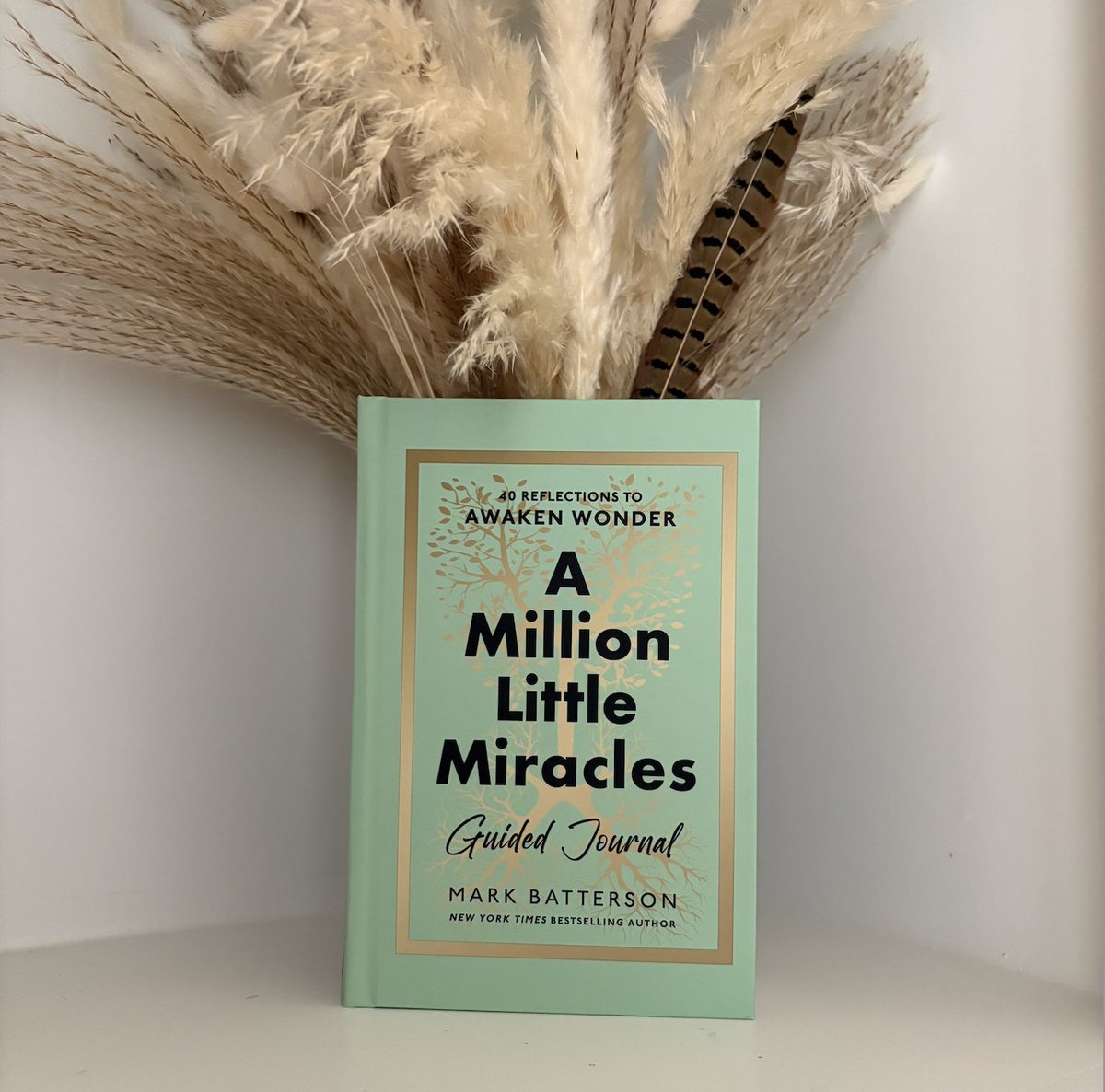 Cover Lover Book Review tweet media