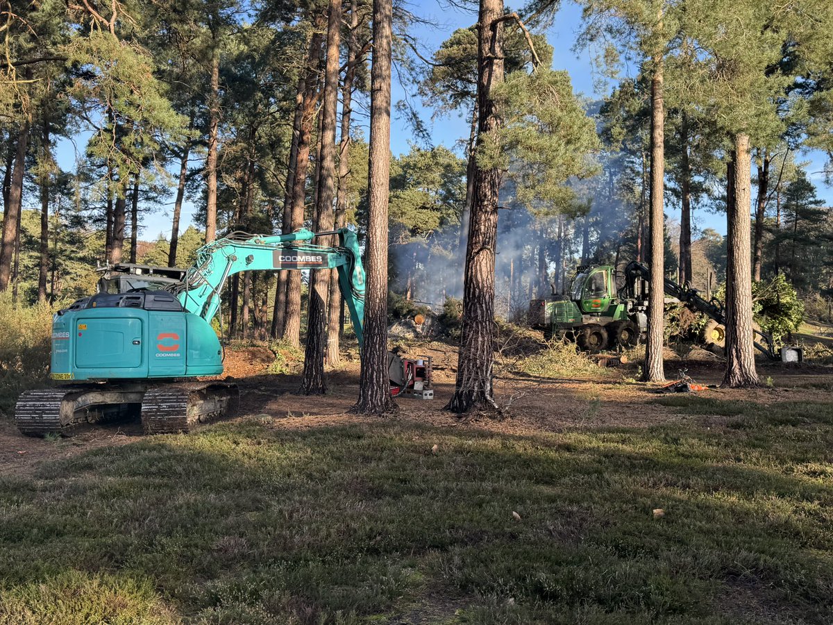 andy ewence tweet media