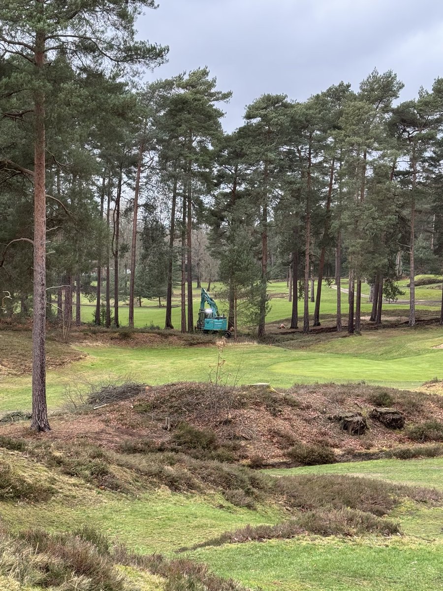 andy ewence tweet media