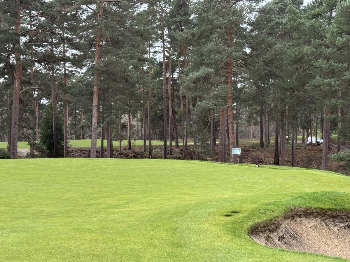 andy ewence tweet media