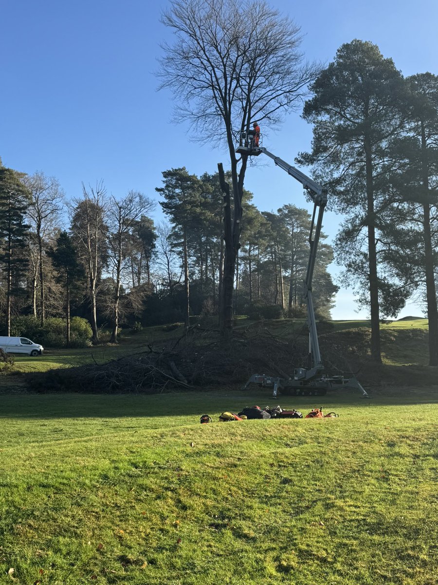 andy ewence tweet media