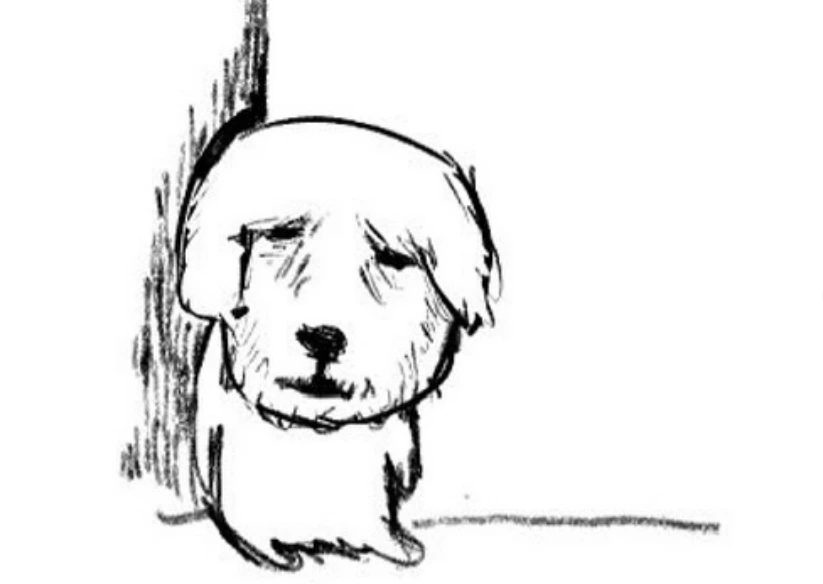 폿 FOT ☔🦅 tweet media