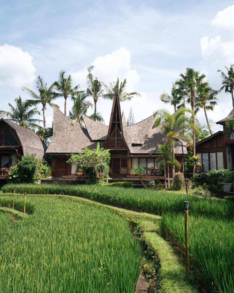 Intermoodd's tweet photo. A stunning villa among the rice fields

📍Menzel Ubud, Bali https://t.co/1HrDenr0J7