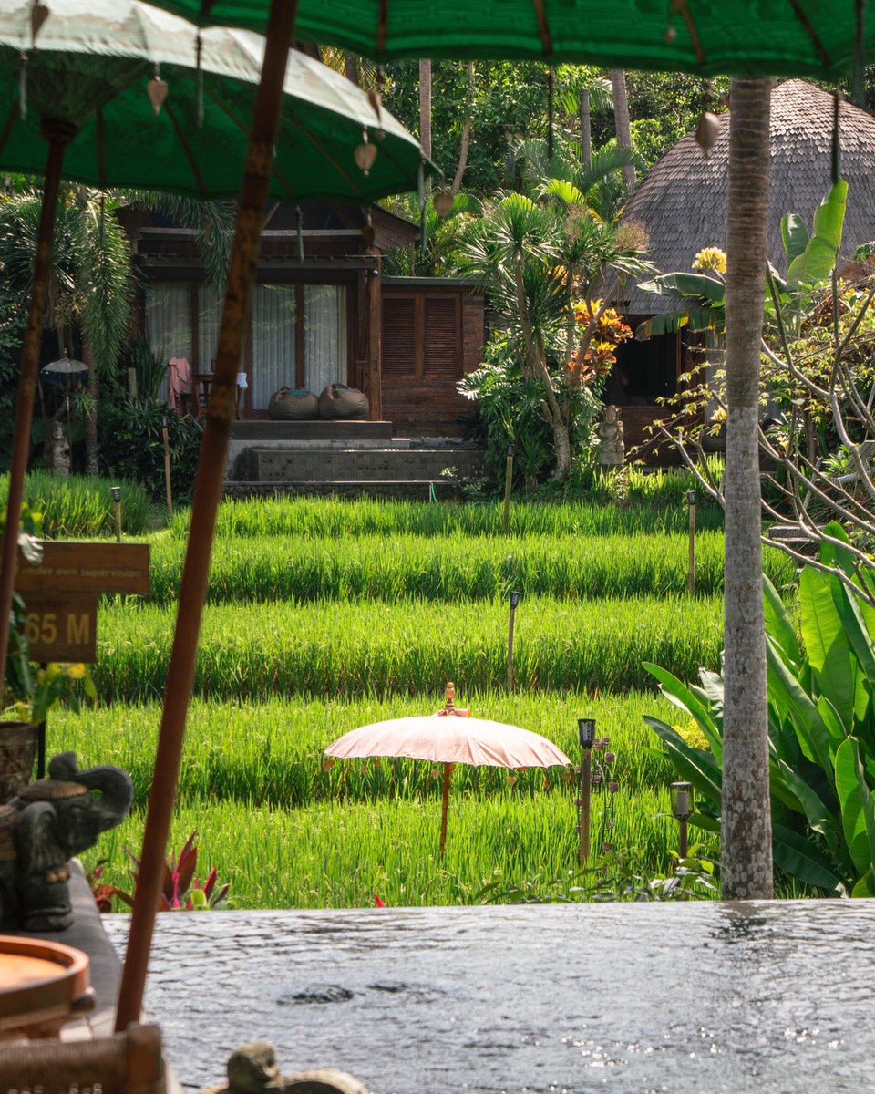 Intermoodd's tweet photo. A stunning villa among the rice fields

📍Menzel Ubud, Bali https://t.co/1HrDenr0J7