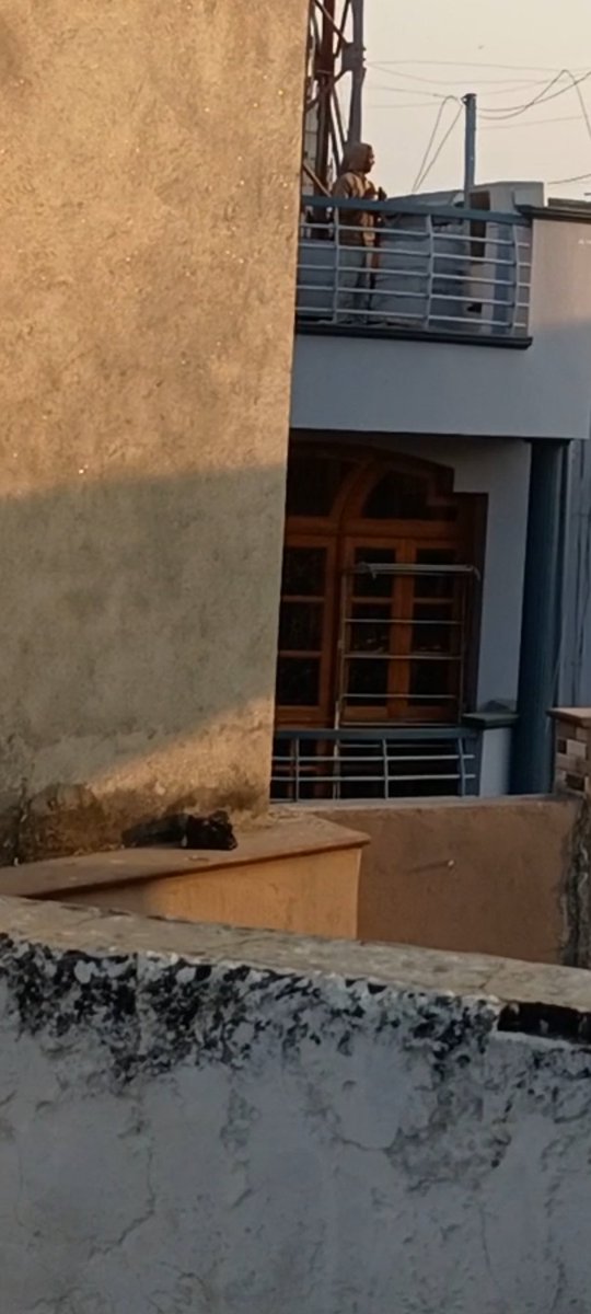 JusticeDeliver4's tweet photo. I think it's a little too much when your neighbours start shooting on monkeys just after they make a little nuisance. 
@PetaIndia 
@peta 
@Dept_of_AHD 
@WOAH 
@my_rajasthan 
@pfaindia 
@Protect_Wldlife 
#animalsafety https://t.co/qGs0LbxaRj