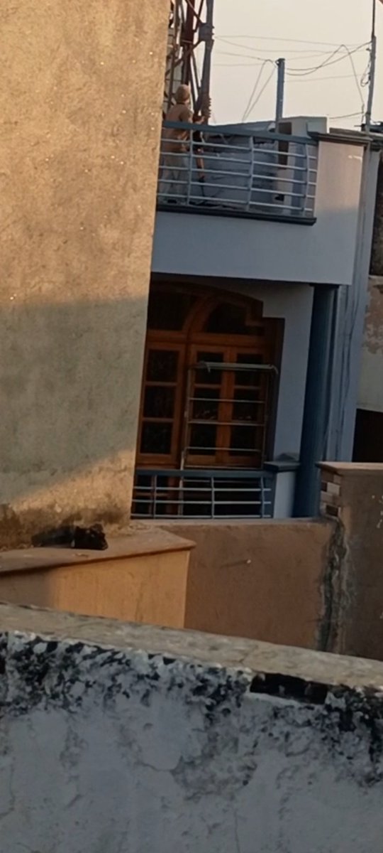 JusticeDeliver4's tweet photo. I think it's a little too much when your neighbours start shooting on monkeys just after they make a little nuisance. 
@PetaIndia 
@peta 
@Dept_of_AHD 
@WOAH 
@my_rajasthan 
@pfaindia 
@Protect_Wldlife 
#animalsafety https://t.co/qGs0LbxaRj