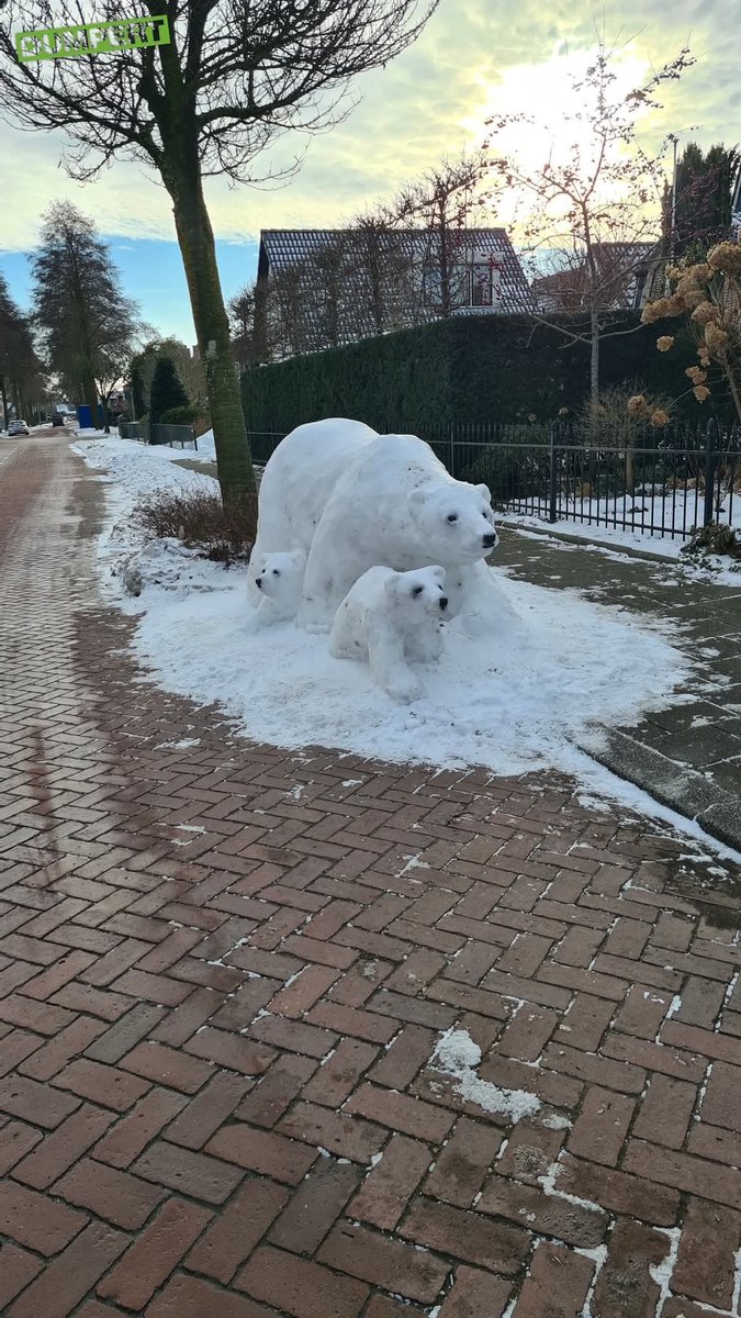 Elke 🇮🇱 🇩🇪 tweet media