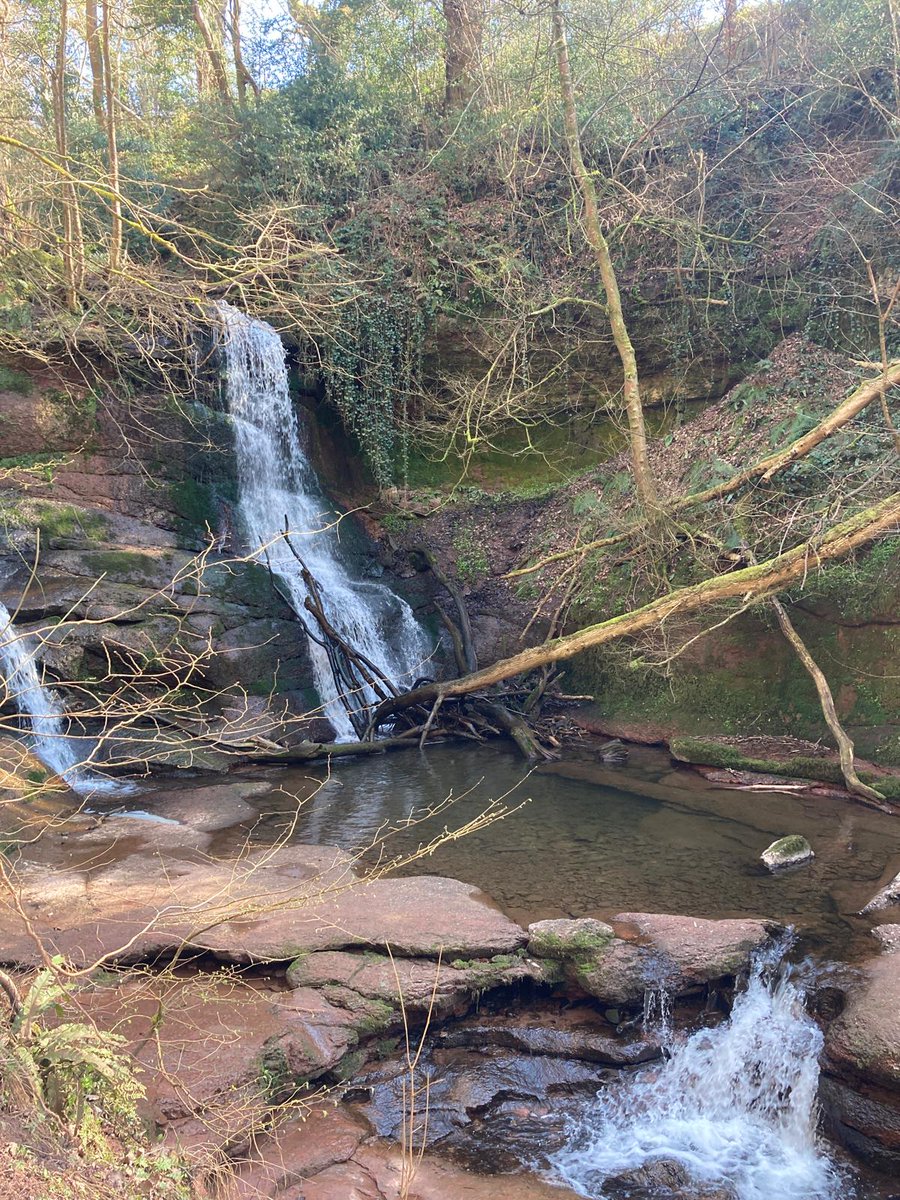 WildlifeTrustSWWales 🦡🐬 tweet media