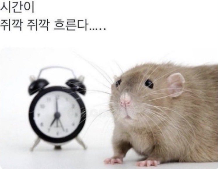 죠랭이네 (@zyorang) on Twitter photo 