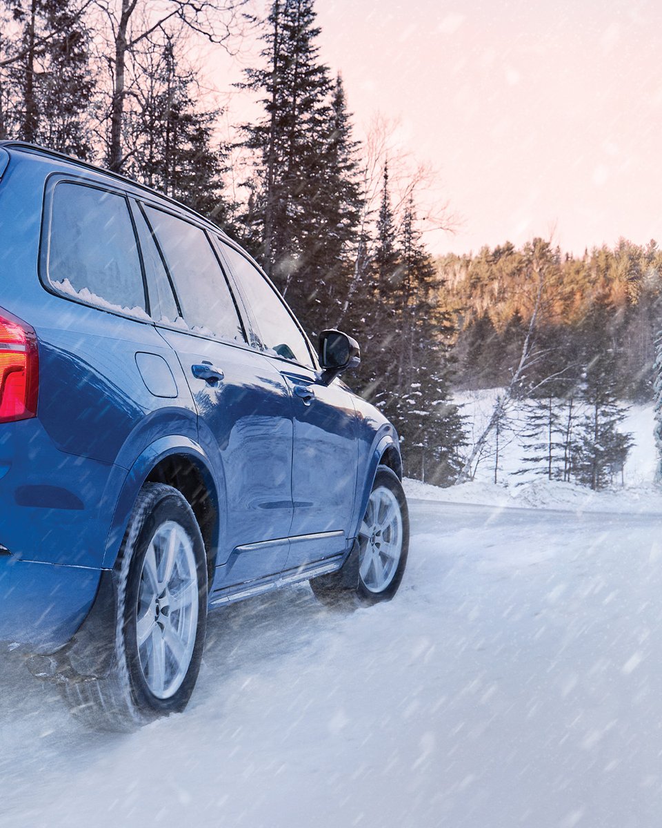 MichelinCAN tweet media