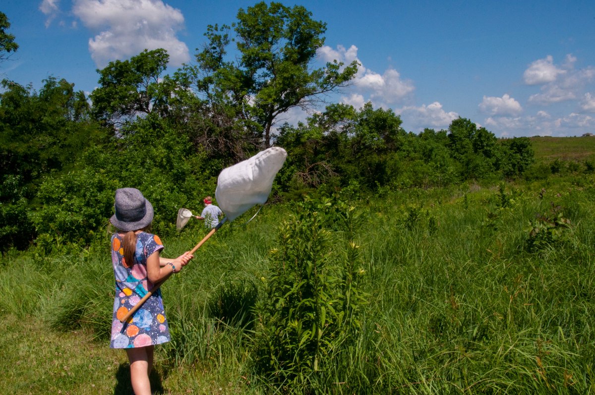 Lincoln Parks and Recreation tweet media